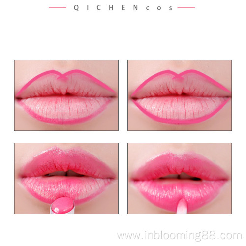 Waterproof Matte Makeup Private Label Lip Liner Lipstick